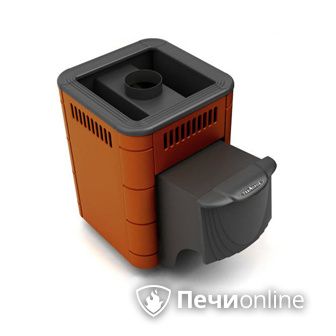 Дровяная банная печь TMF Оса Carbon терракота дверь антрацит в Лысьве